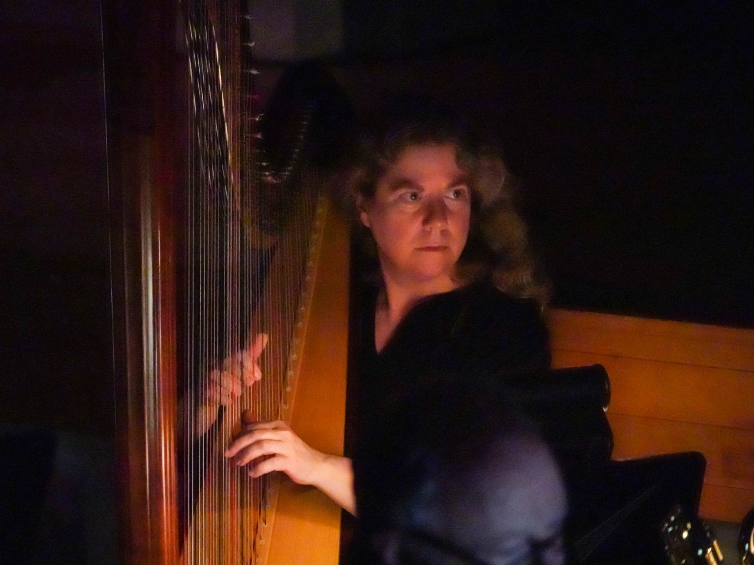 Harp Duo Concert Katie Lynch Koglin, Harpist &amp; Voice